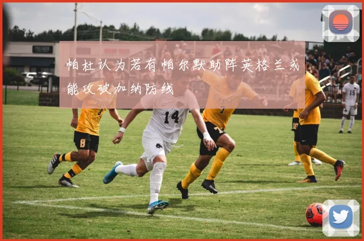 帕杜认为若有帕尔默助阵英格兰或能攻破加纳防线